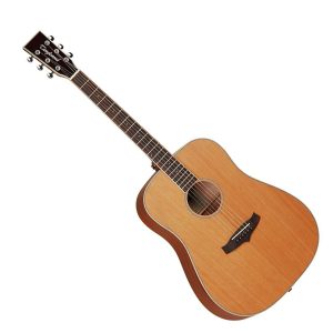 Tanglewood TW28CLN Left Evolution
